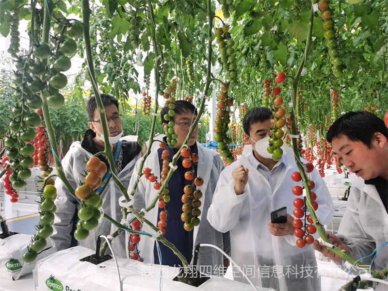 2021年機器人采摘現場調研